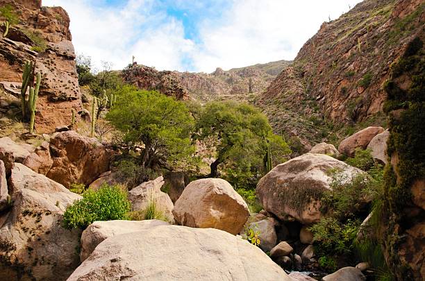istock Waterfalls of the Colorado River Trek 629190812