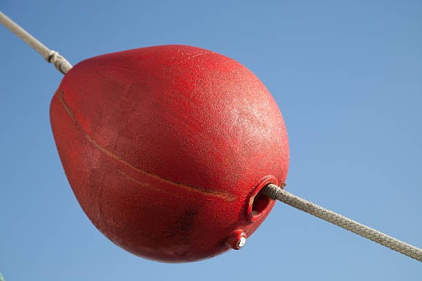 istock Red buoy on the rope 629200862