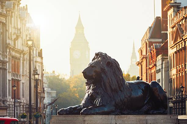 londra  - lion statue london england trafalgar square foto e immagini stock