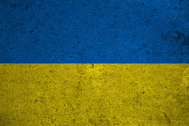 istock Ukraine flag on an old grunge background 629202900