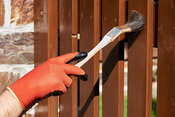 istock Painting a fence 629209270