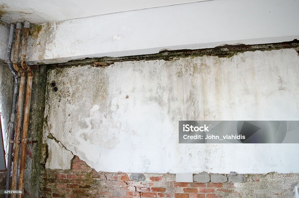 Wall mold Danger old moldDanger old mold Toxic Mold Stock Photo