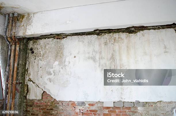 Wall Mold Stock Photo - Download Image Now - Toxic Mold, Abandoned, Allergy