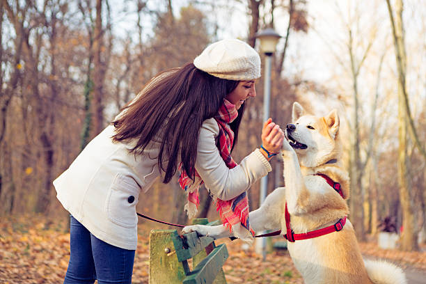 istock Girl taking walk with her dog 629213860