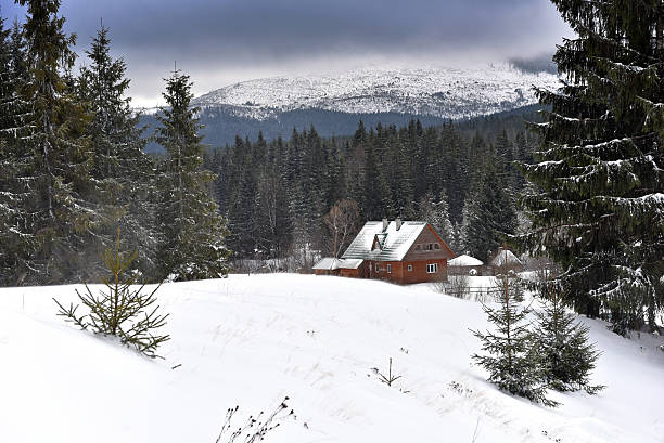 istock Mountain wooden chalet covered with fresh snow 629228896