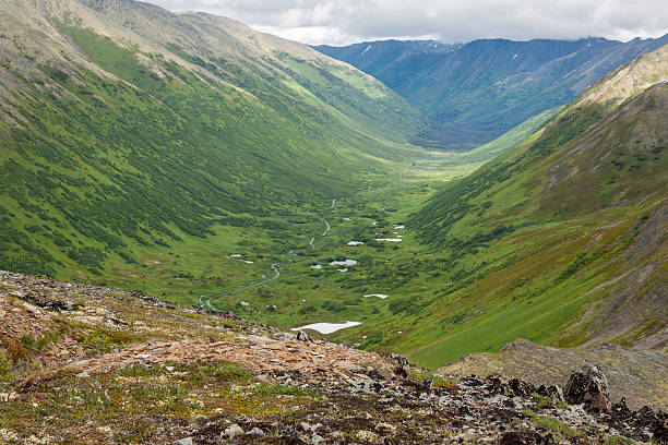 palmer creek valley, alaska - drumlin imagens e fotografias de stock