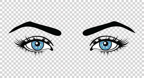 긴 속눈썹과 메이크업 벡터 블루 여성 눈 - make up stage makeup human eye blue stock illustrations