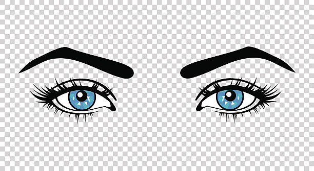 ilustrações de stock, clip art, desenhos animados e ícones de vector blue female eyes with long lashes and make up - close up of iris