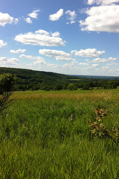 istock Summer sun gracing the rolling hills 629238392