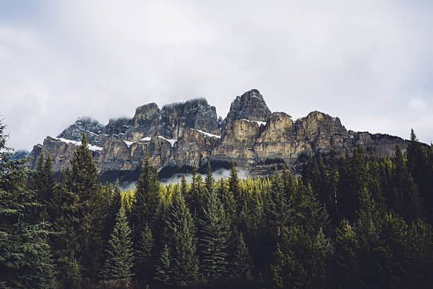 istock Canadian Rocky Mountains 629238956