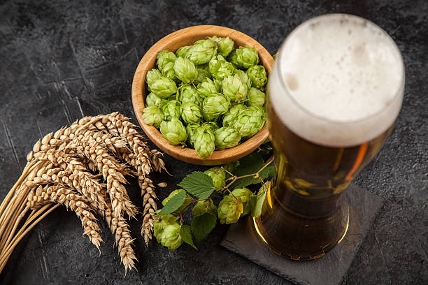 istock Beer glass on dark background 629240508