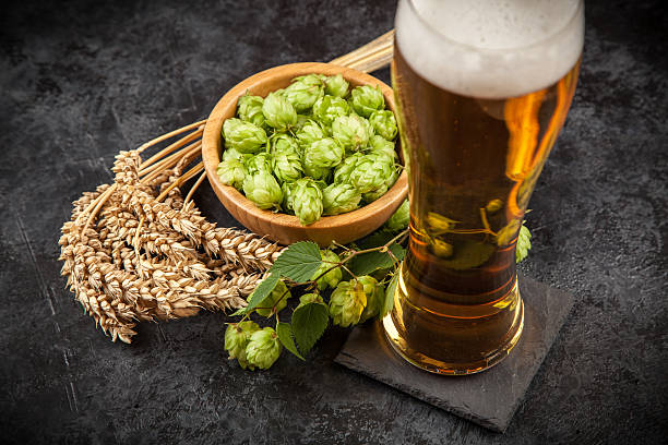 istock Beer glass on dark background 629240586