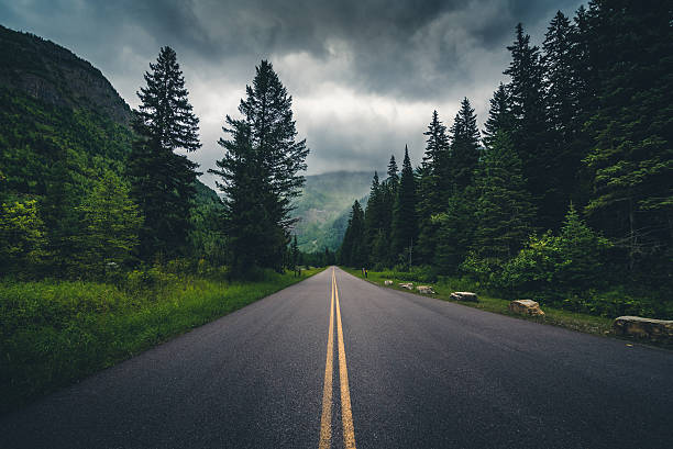 camino forestal en un día nublado. - journey travel road sky fotografías e imágenes de stock