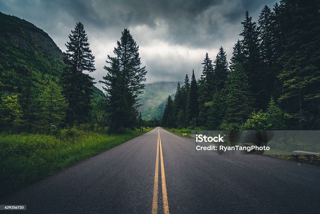 Forest road on a cloudy day. Image of a forest road on a cloudy day. Forest Stock Photo