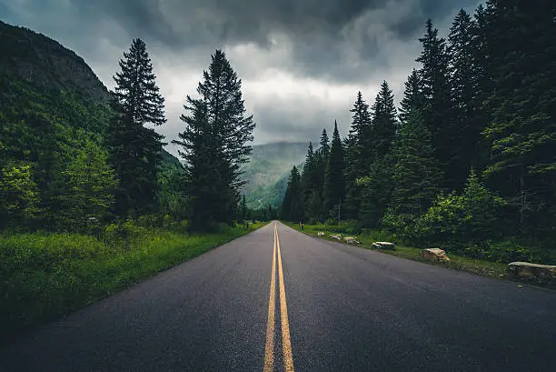 Photo of Forest road on a cloudy day.