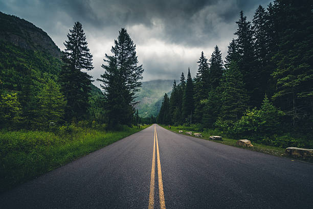 estrada da floresta em um dia nublado. - road country road empty autumn - fotografias e filmes do acervo