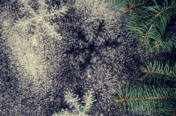 istock Christmas fir tree and snowflakes on chalkboard background 629256984