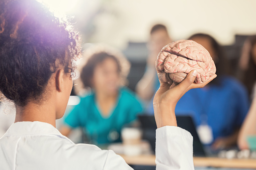 Cerebral cortex lobes in color profile view with body isolated on white background accurate 3D rendering illustration. Human brain anatomy, neurology, neuroscience, medical and healthcare concept.