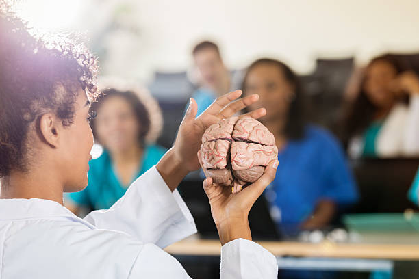 Diverse hands holding a brain cardboard prop