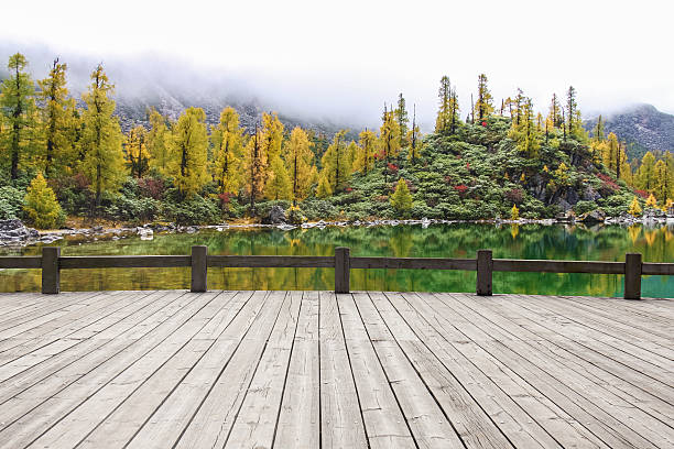 istock Wooden board towards landscape 629262806