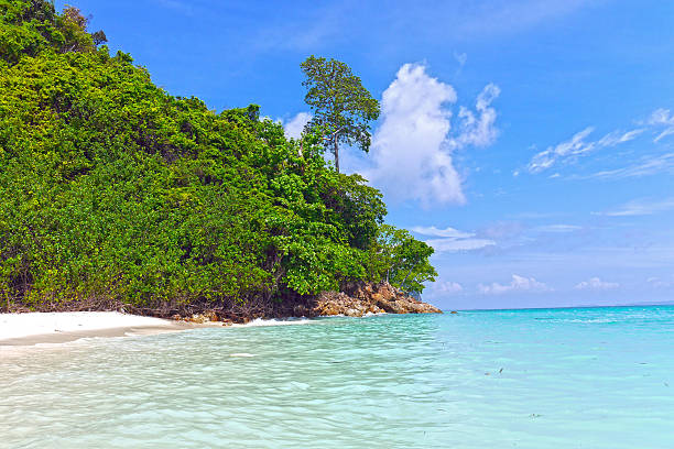 istock Bamboo Island, THAILAND. 629263964