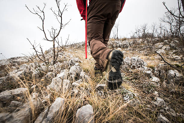 istock Hiking and running up the hill 629263970
