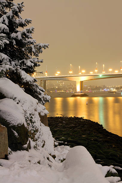 istock Golden Bridge in Winter 629265186