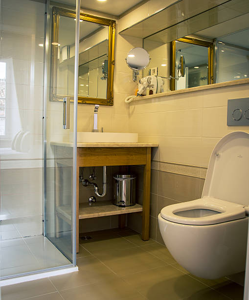 istock toilet and bathroom 629268966