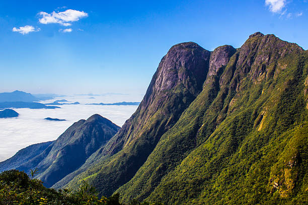 vue large sur le pico paraná - gneiss photos et images de collection