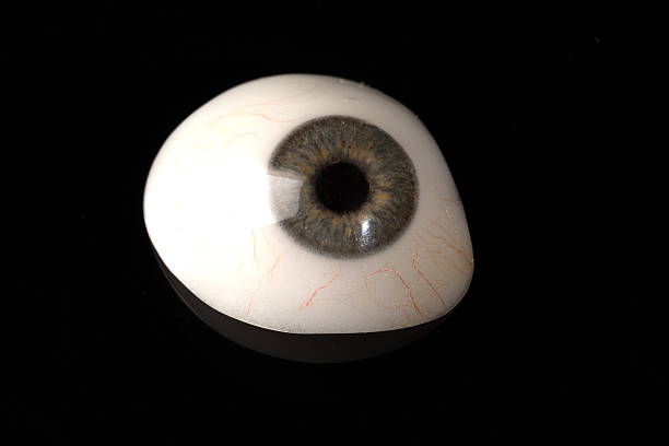 istock Glass eye prosthetic or Ocular prosthesis on black 629275820