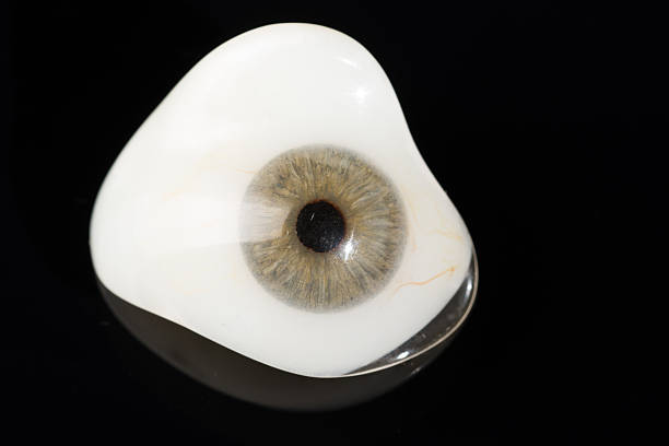 istock Glass eye prosthetic or Ocular prosthesis on black 629276002