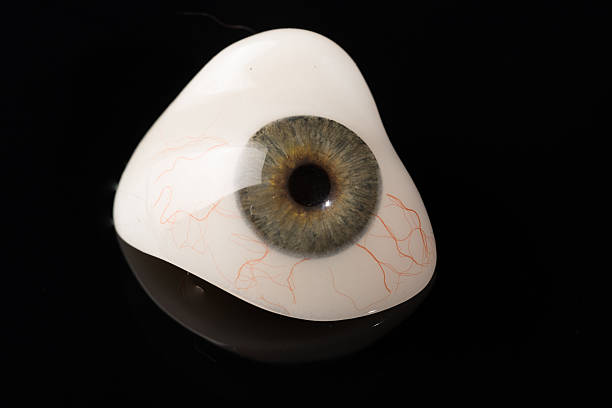 istock Glass eye prosthetic or Ocular prosthesis on black 629276236