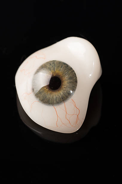 istock Glass eye prosthetic or Ocular prosthesis on black 629276284