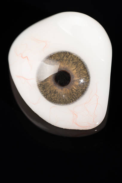 istock Glass eye prosthetic or Ocular prosthesis on black 629276402