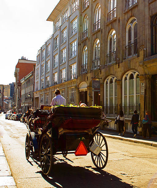 Horse and Carriage Ride Montreal, Canada - October 3, 2016: Horse drawn carriage at the historic old port of montreal provides tourists with historical tours and a romantic travel adventure through time on cobblestone roads and rich historic stories caleche stock pictures, royalty-free photos & images