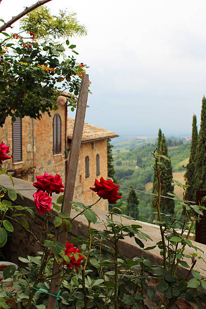 istock Roses on a balcony in San Gimignano, Tuscany 629286164