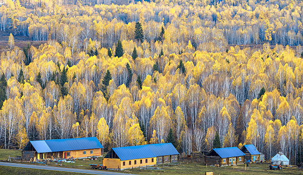 istock Kanas Hemu villiage at Sunset, Xinjiang, China 629286534