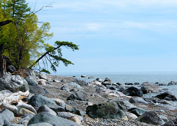 istock Baikal landscape with green spring and blue background 629291668
