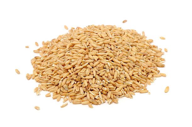istock Pile of Whole Oats Isolated on White Background 629294304