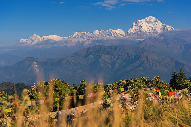 istock Mt. Dhaulagiri (8,172m) and prayer flags from Poon Hill 629294962