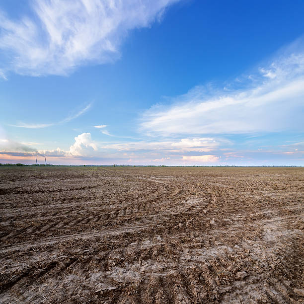 land on the field for planting