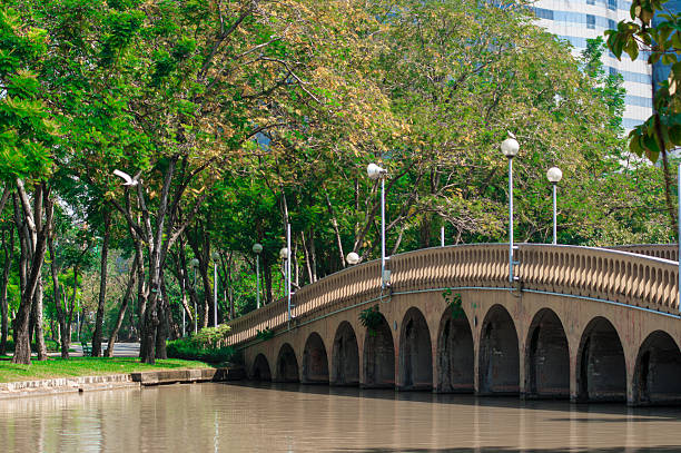Autumn Scenery by the Lake: A City Park at Sunset with Reflecting Water and Urban Skyline