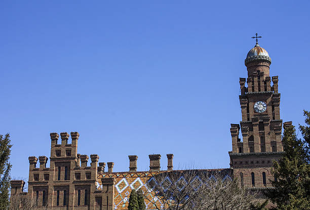istock Beautiful architecture of Chernivtsi University, 2015 629307082