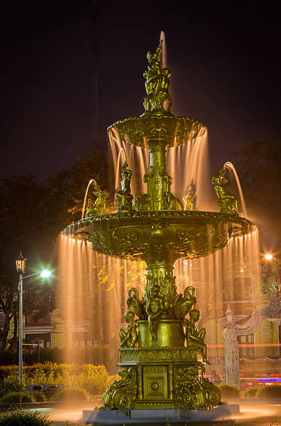 istock Fountain in the park at night 629307142