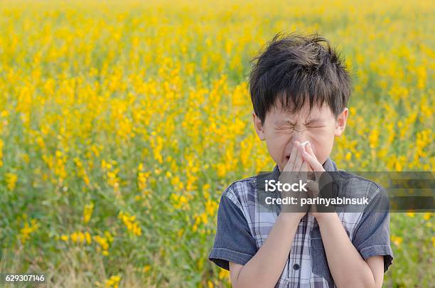 Niño Tiene Alergias Por El Polen De Las Flores Foto de stock y más banco de imágenes de Alergia - Alergia, Niño, Estornudar
