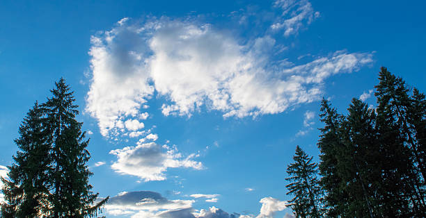 istock Wild nature of Russia 629308422