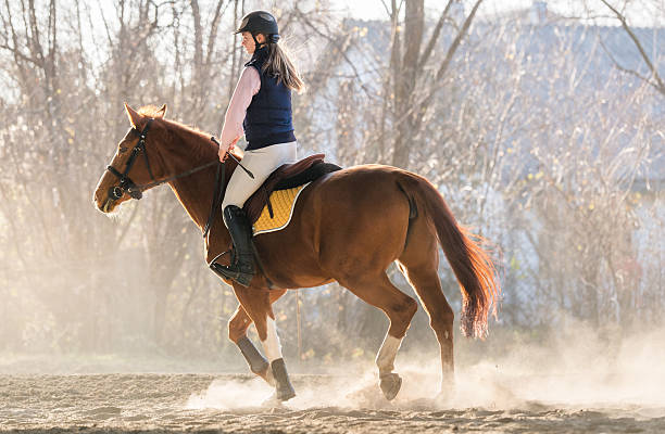istock Young girl riding a horse 629321448