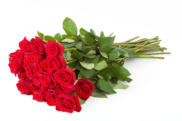 istock Bouquet of fresh red roses isolated 629321774