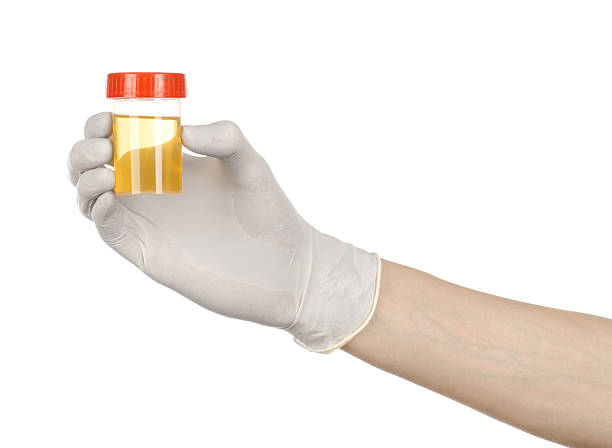 istock Medical theme: doctor's hand in white gloves holding a transpare 629322796