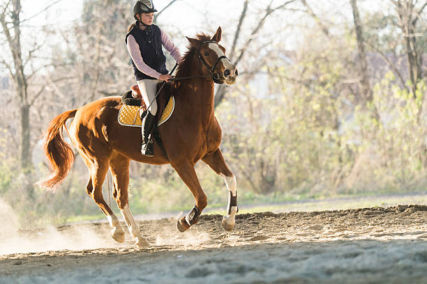 istock Young girl riding a horse 629322908